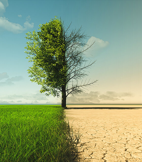 © appledesign - stock.adobe.com (KI generiert)
